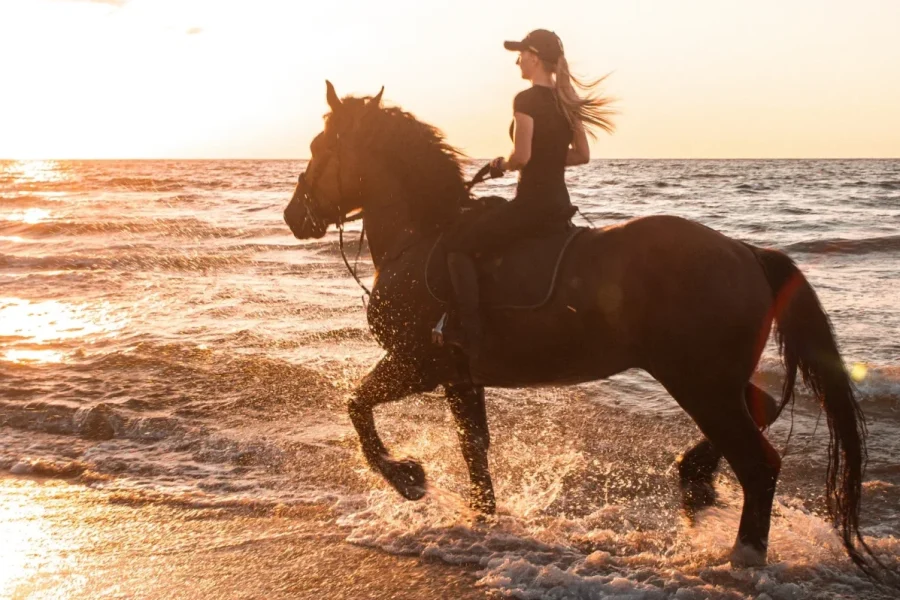 beach horse riding mauritius