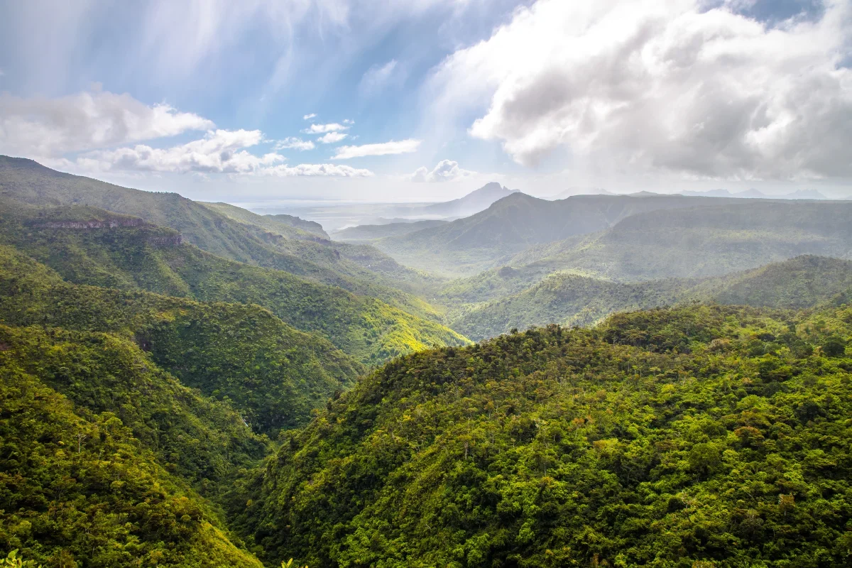 black-river-gorge-viewpoint-1