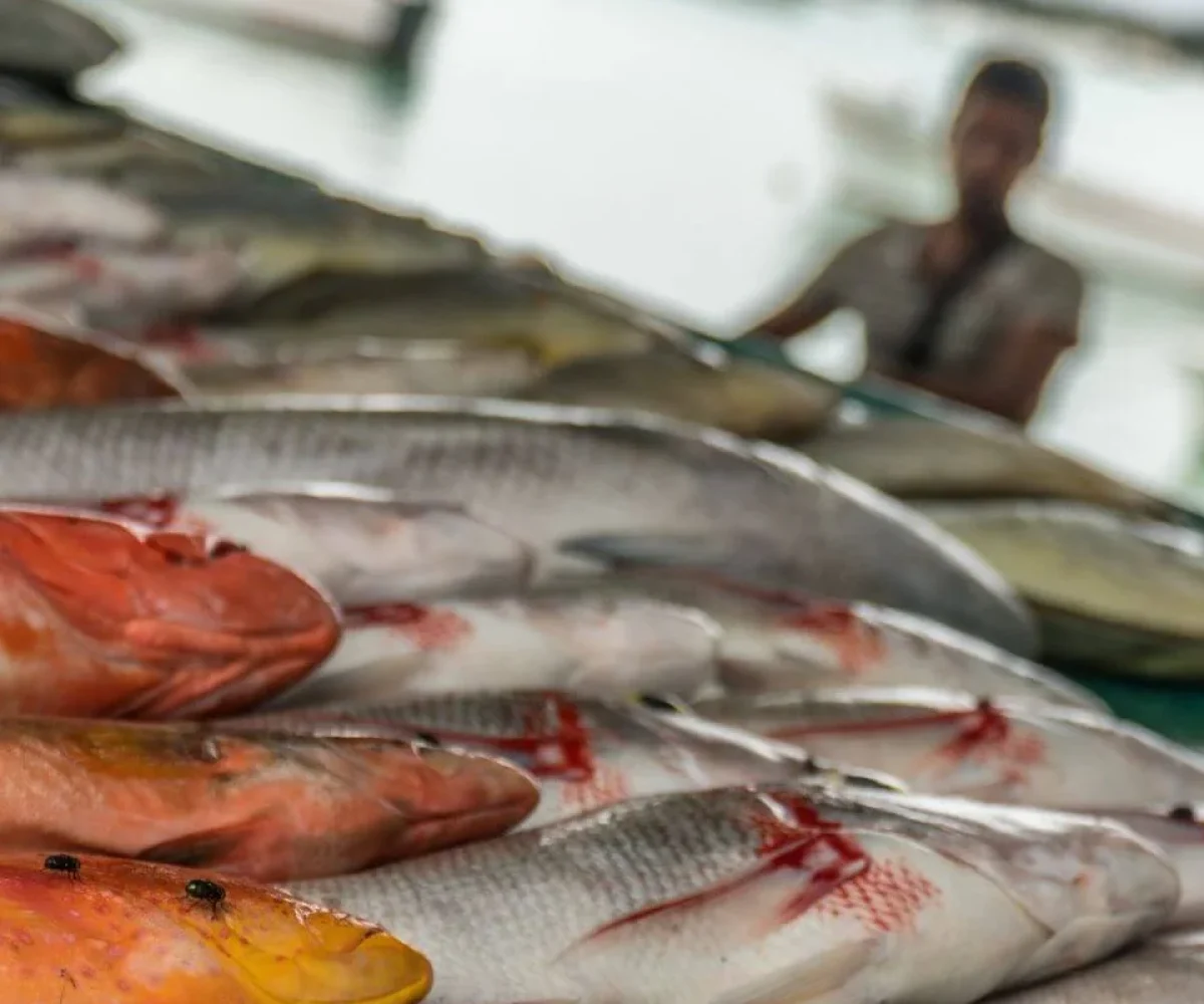 The fish hall of the central market in Port Louis, Mauritius
