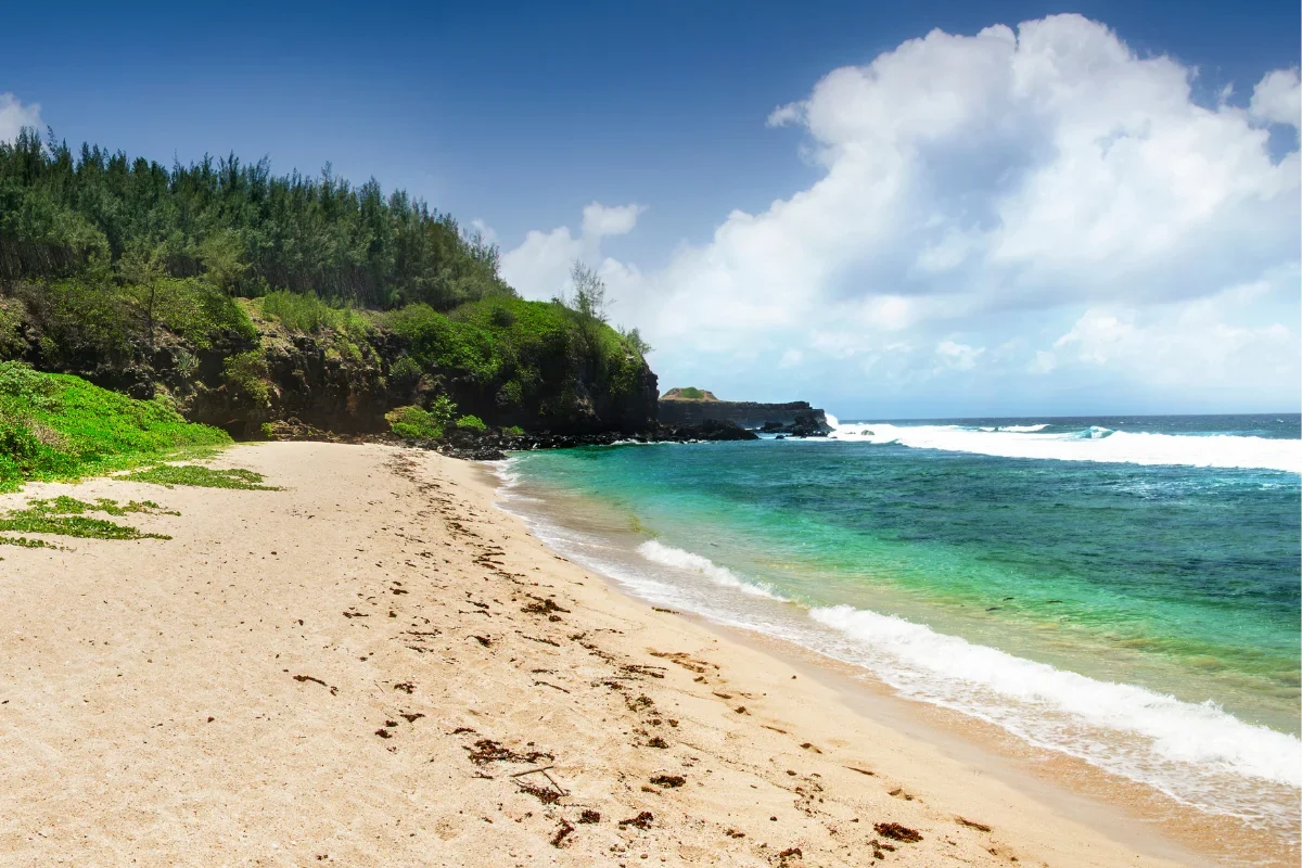The clifftop lawn and coarse sand of Gris Gris beach near Souillac, Mauritius