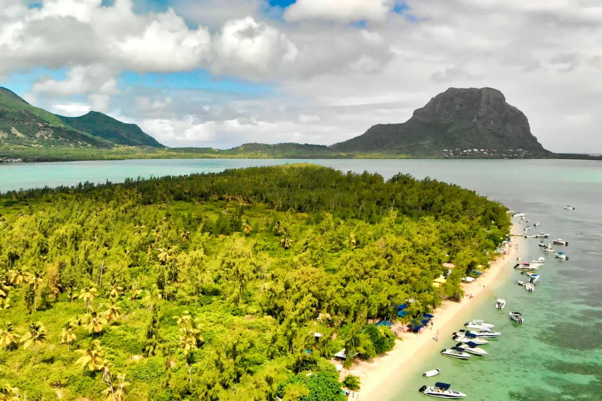 Coconut palms and shallow turquoise water at Île aux Bénitiers, Mauritius