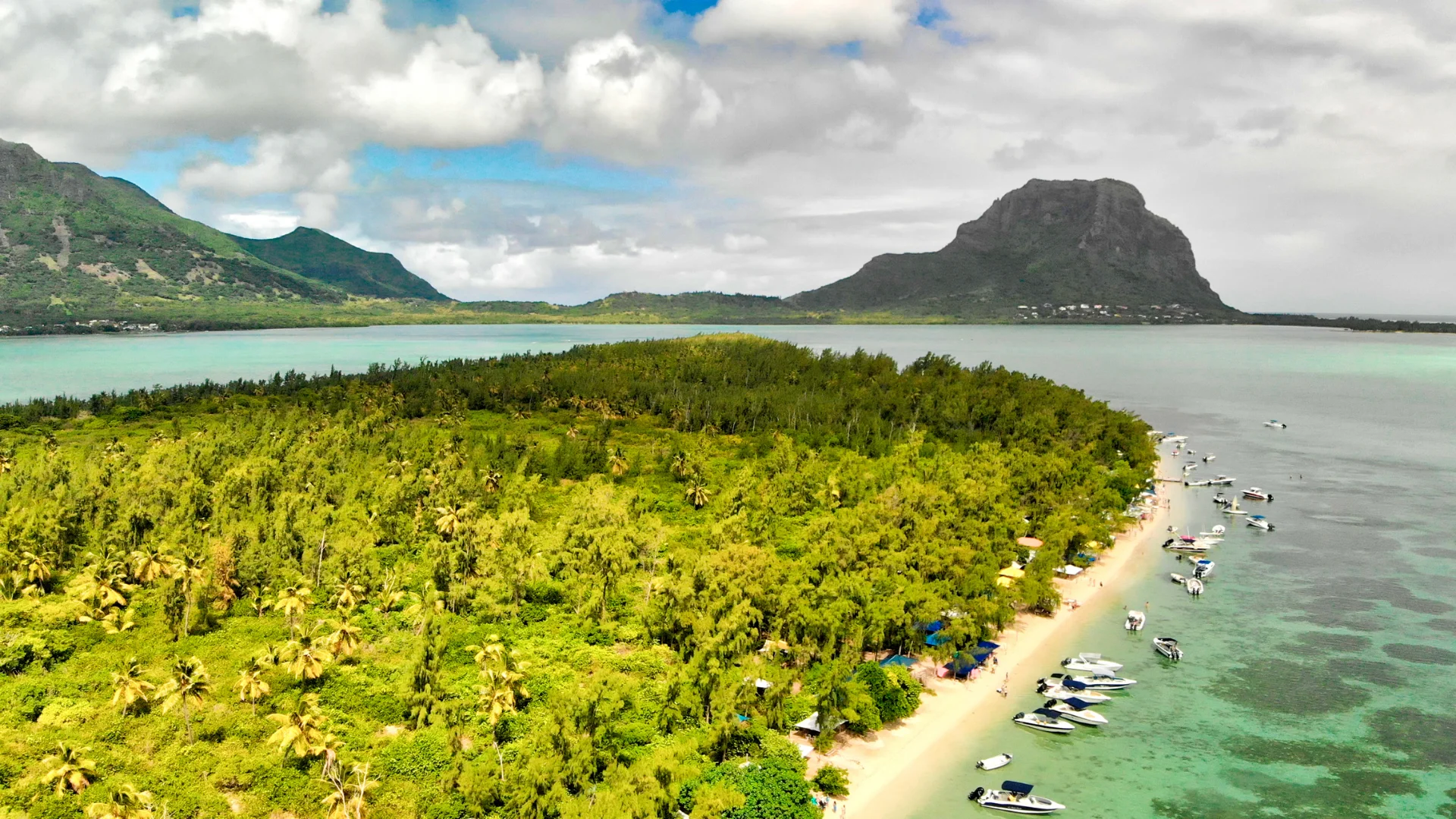 Coconut palms and shallow turquoise water at Île aux Bénitiers, Mauritius