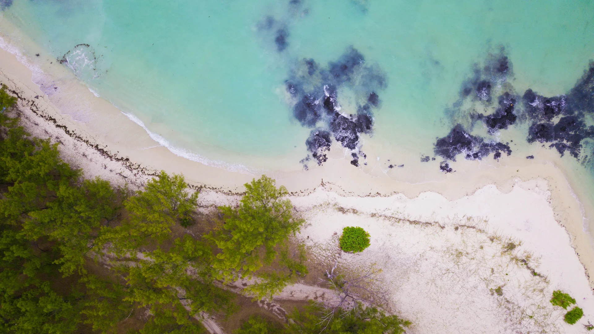 The white sand and turquoise lagoon of Île aux Cerfs off the east coast of Mauritius
