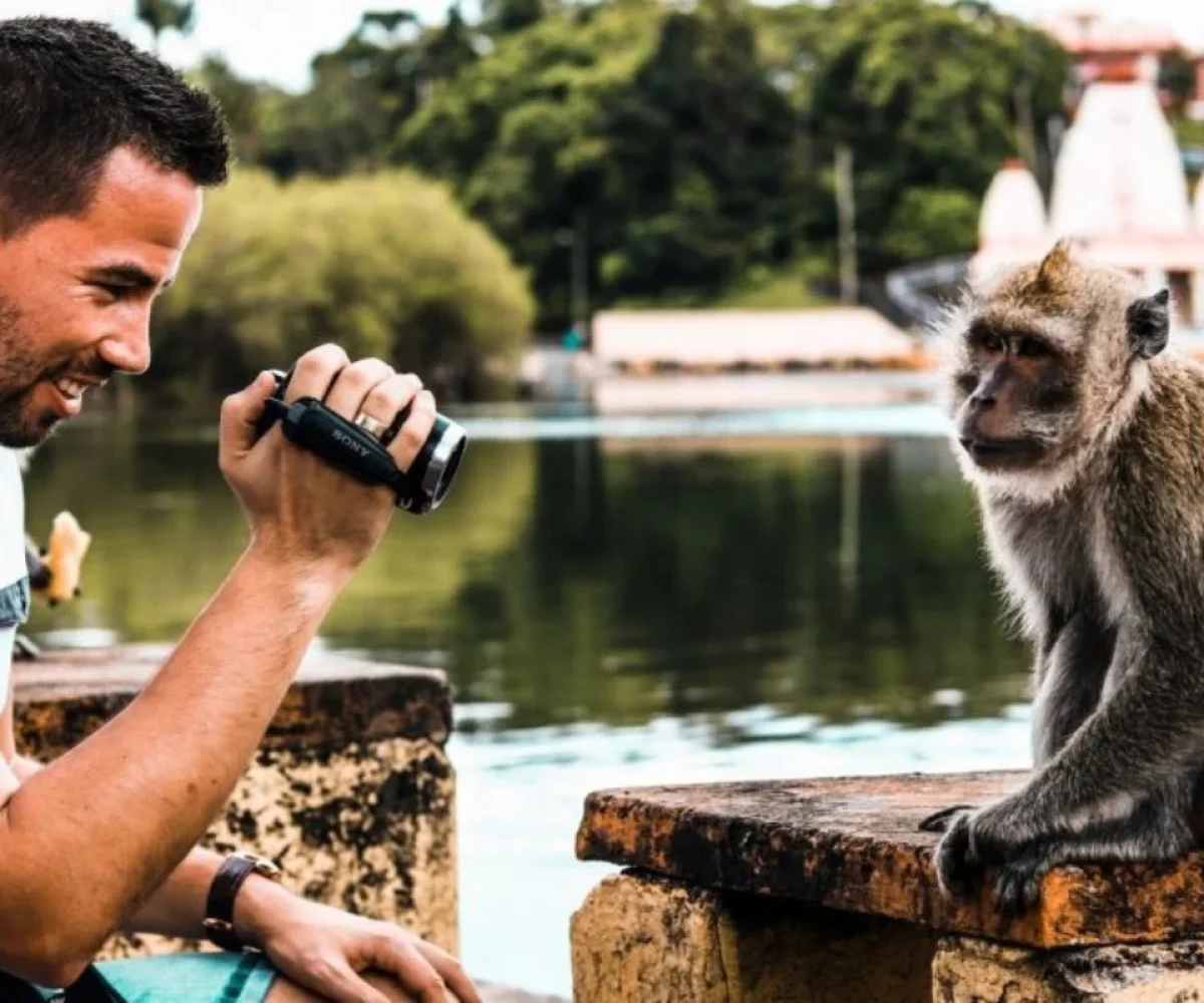 Macaques beside the sacred lake at Grand Bassin in the Mauritian highlands