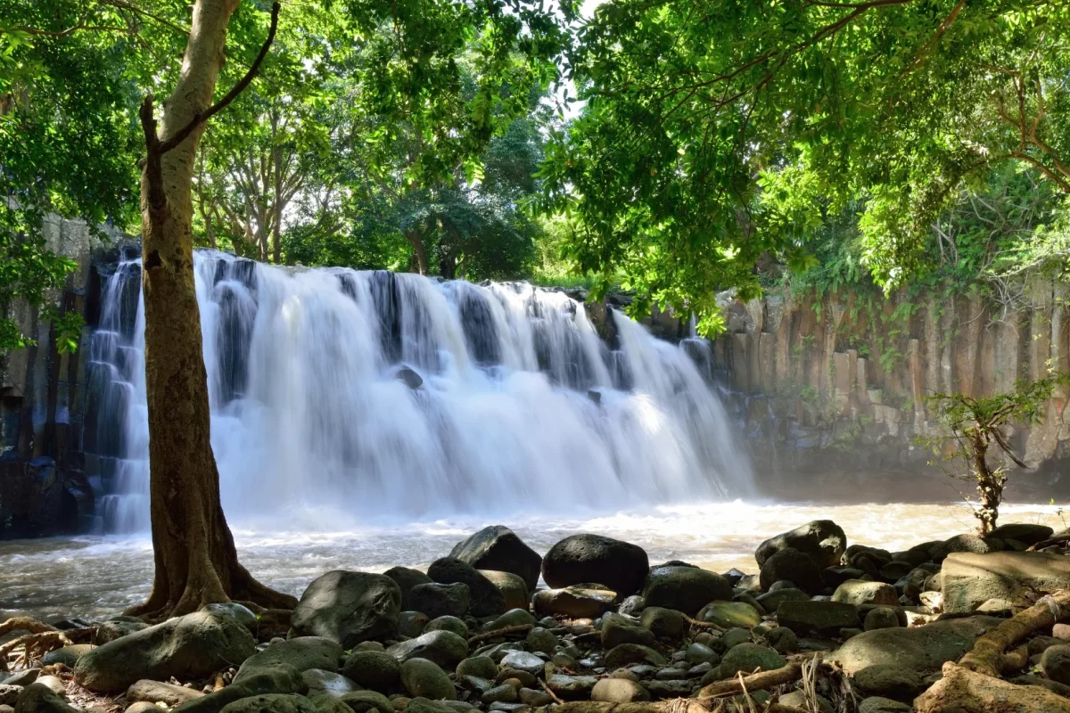 Rochester Falls tumbling over columns of layered volcanic rock near Souillac