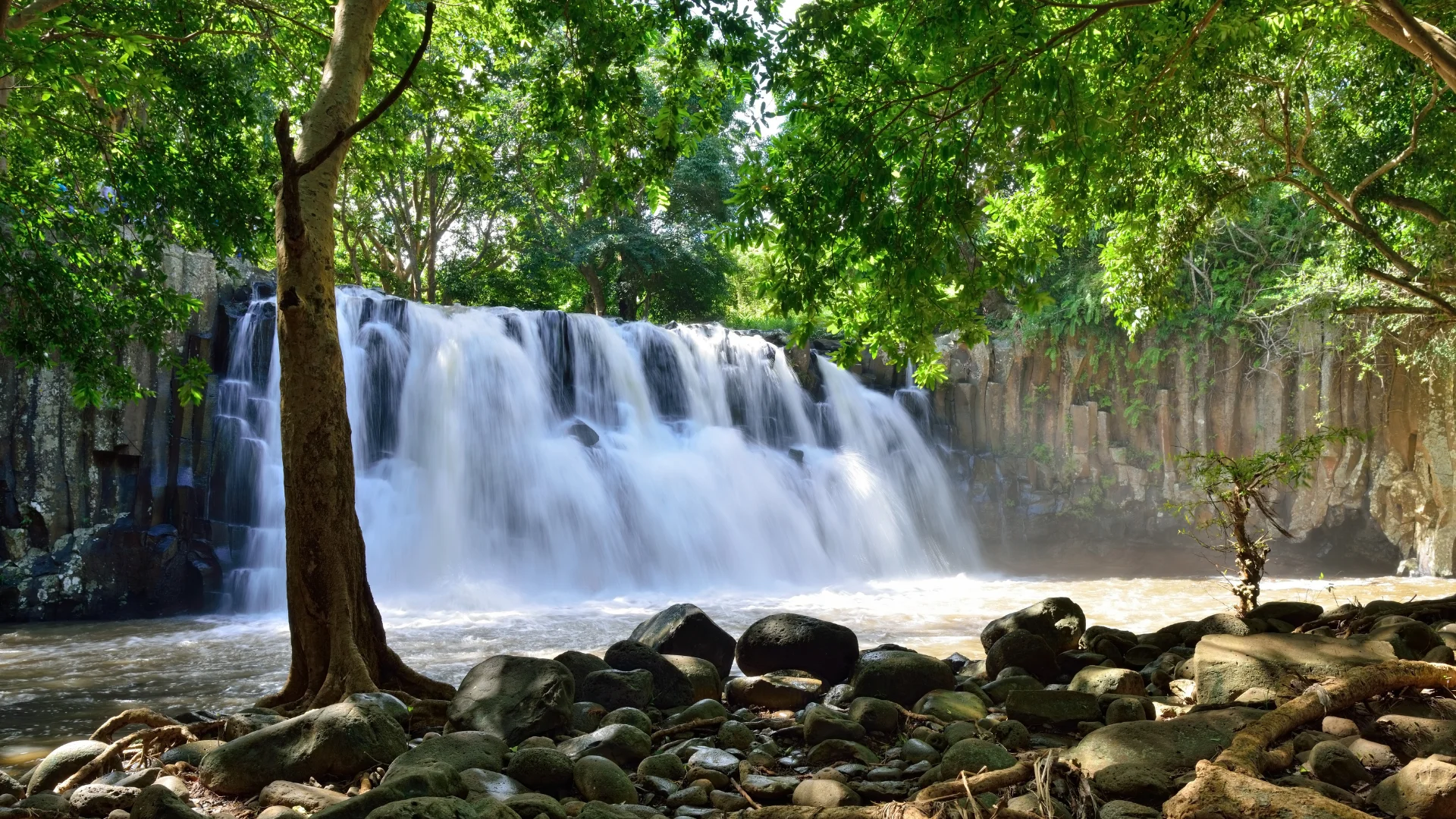 Rochester Falls tumbling over columns of layered volcanic rock near Souillac