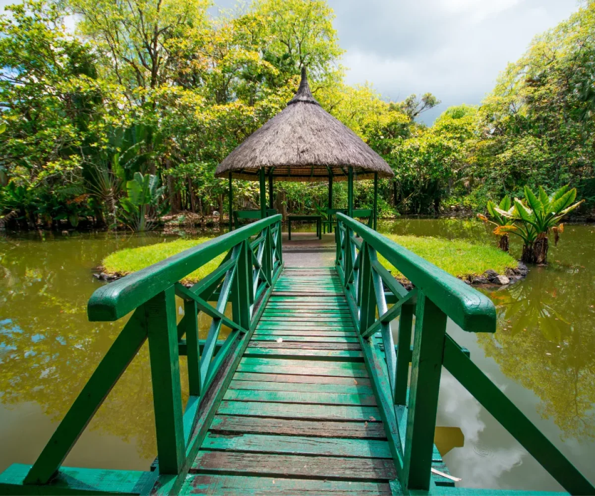Ponds and tropical planting at the SSR Botanic Garden in Pamplemousses