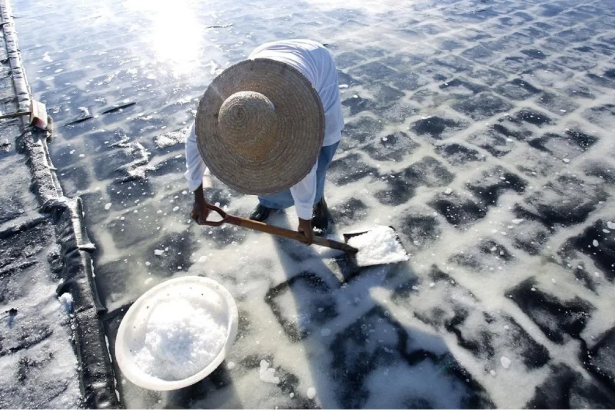 The shallow basins of the Tamarin salt pans below La Tourelle mountain, west Mauritius