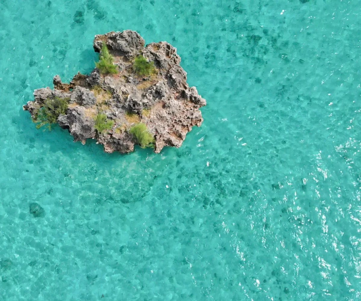 Snorkelling in the clear shallow water around Crystal Rock, Mauritius