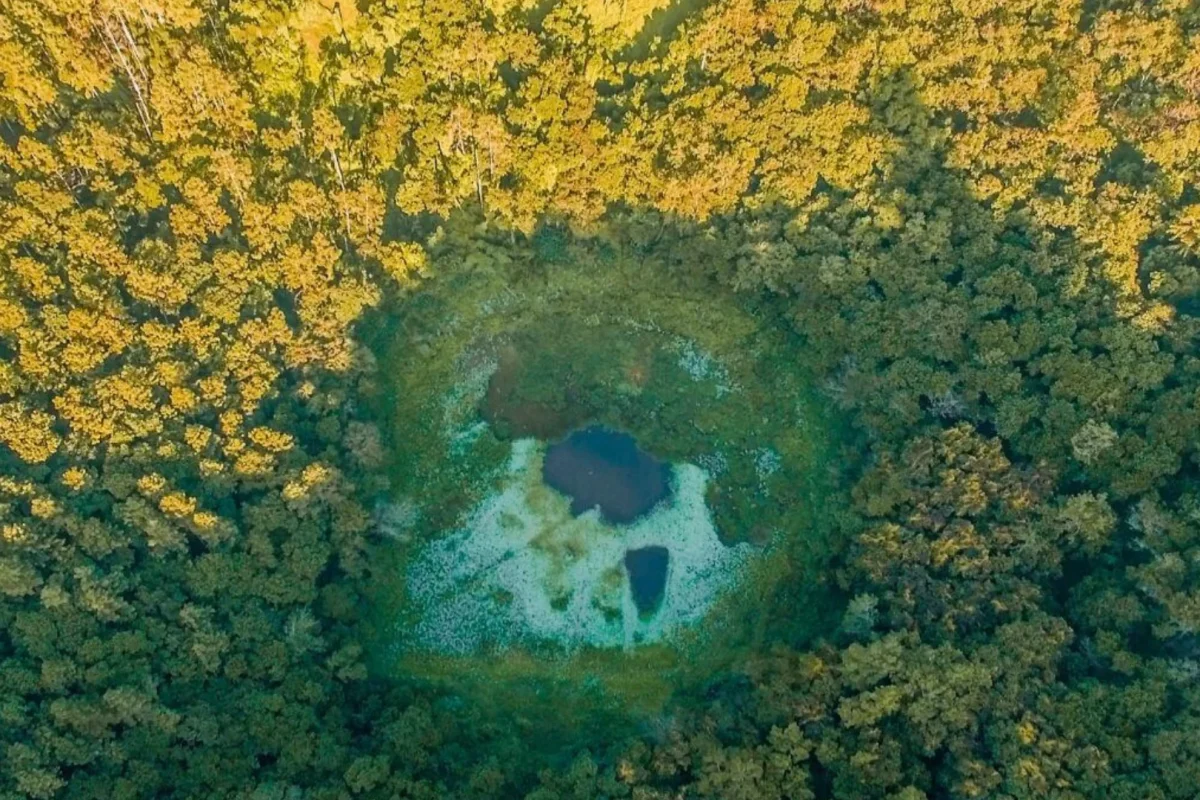 The forested crater of Trou aux Cerfs, a dormant volcano above Curepipe, Mauritius