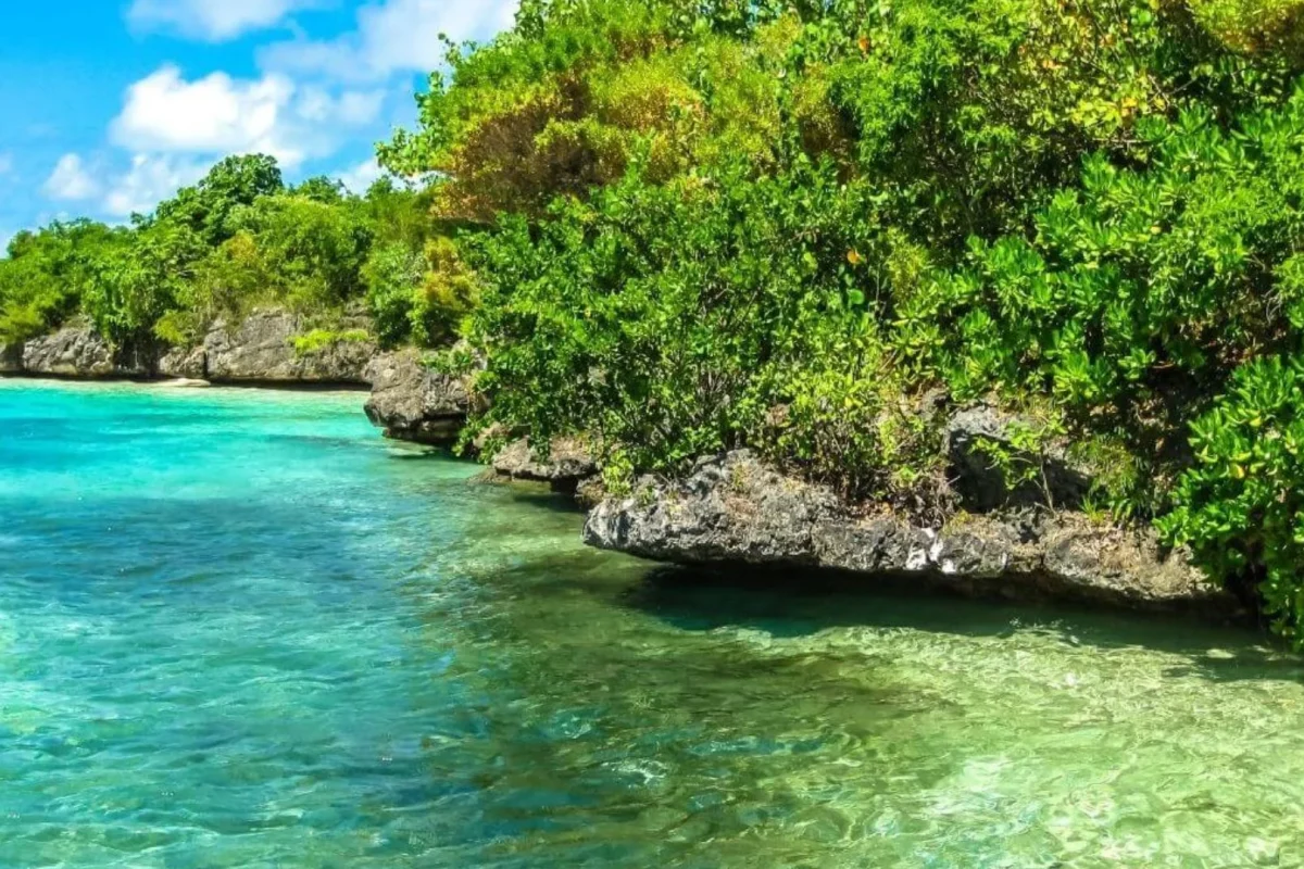 The coral islet and native forest of Île aux Aigrettes, Mauritius