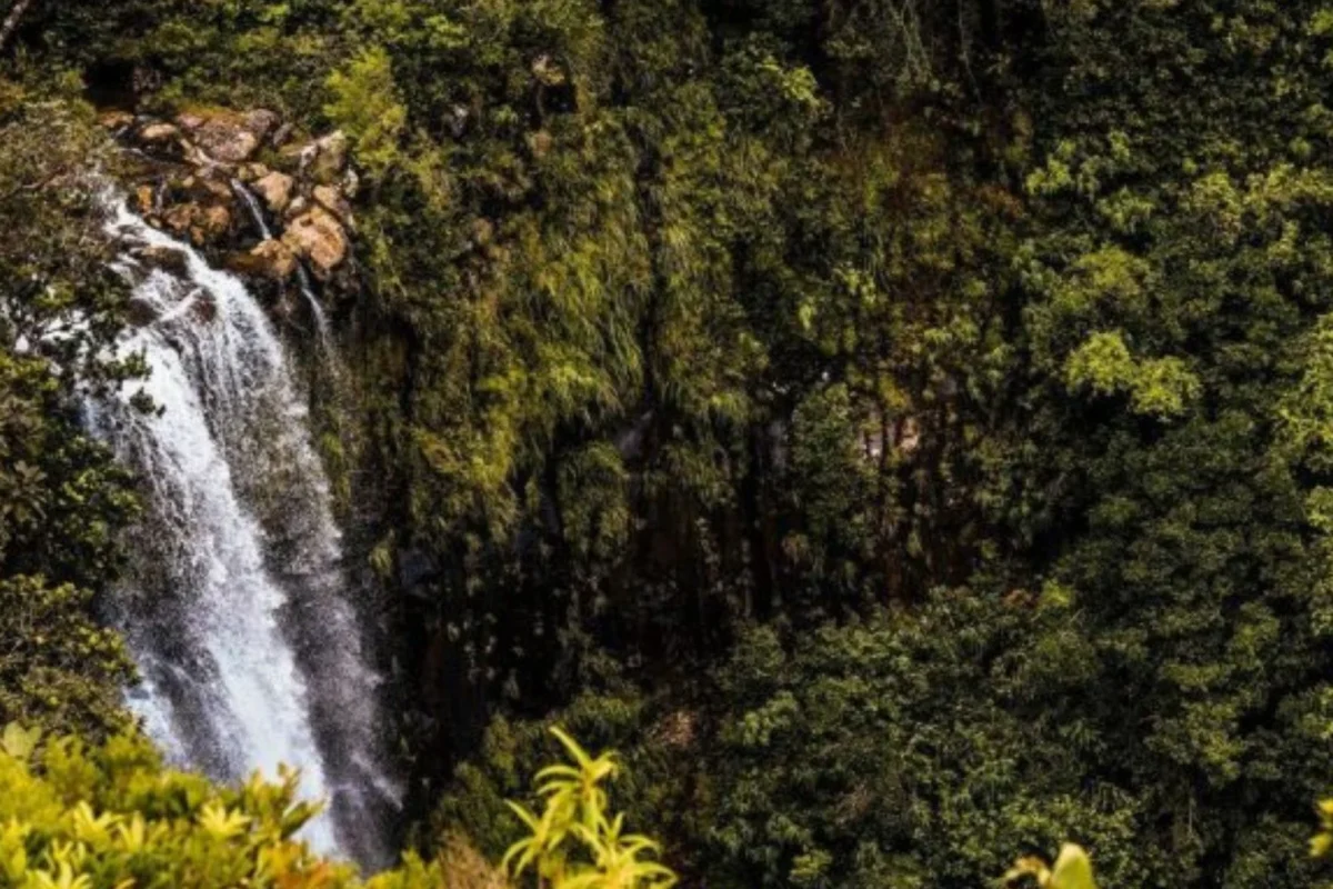 alexandra-waterfall