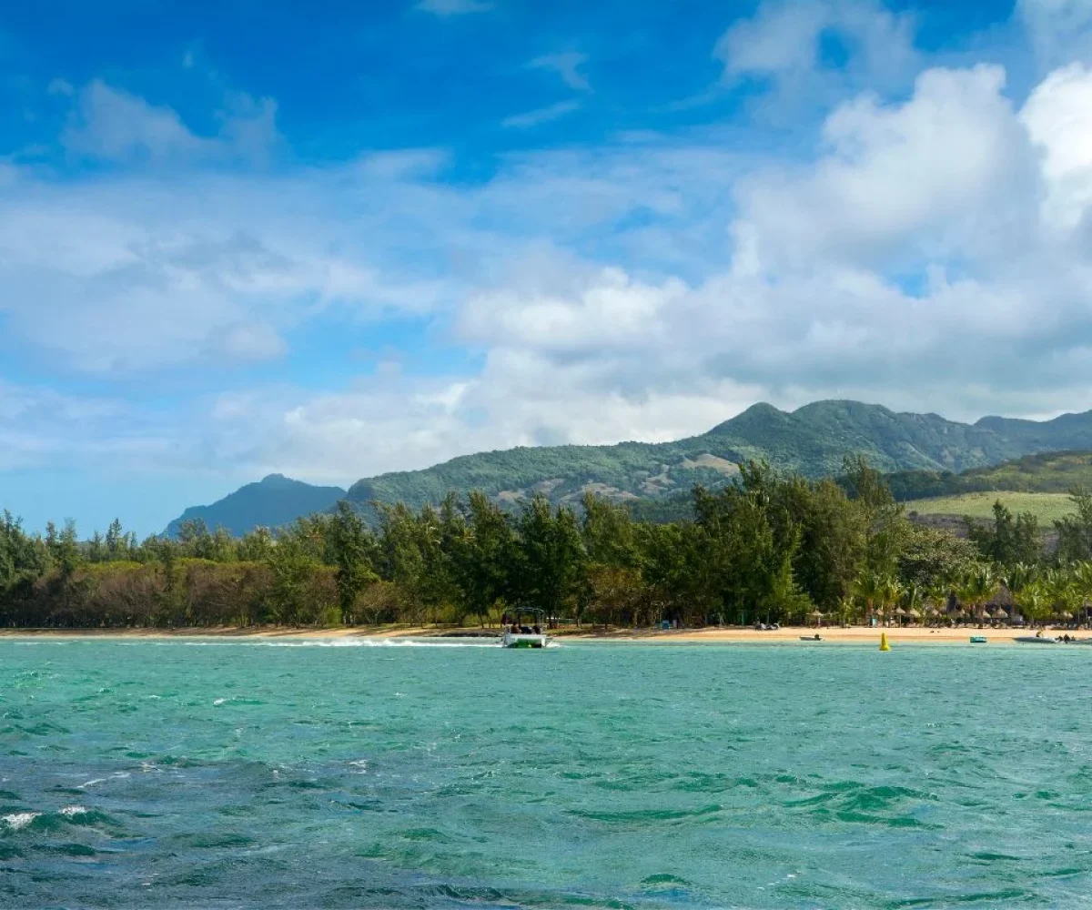 The calm lagoon and casuarinas at Bel Ombre beach on the south coast