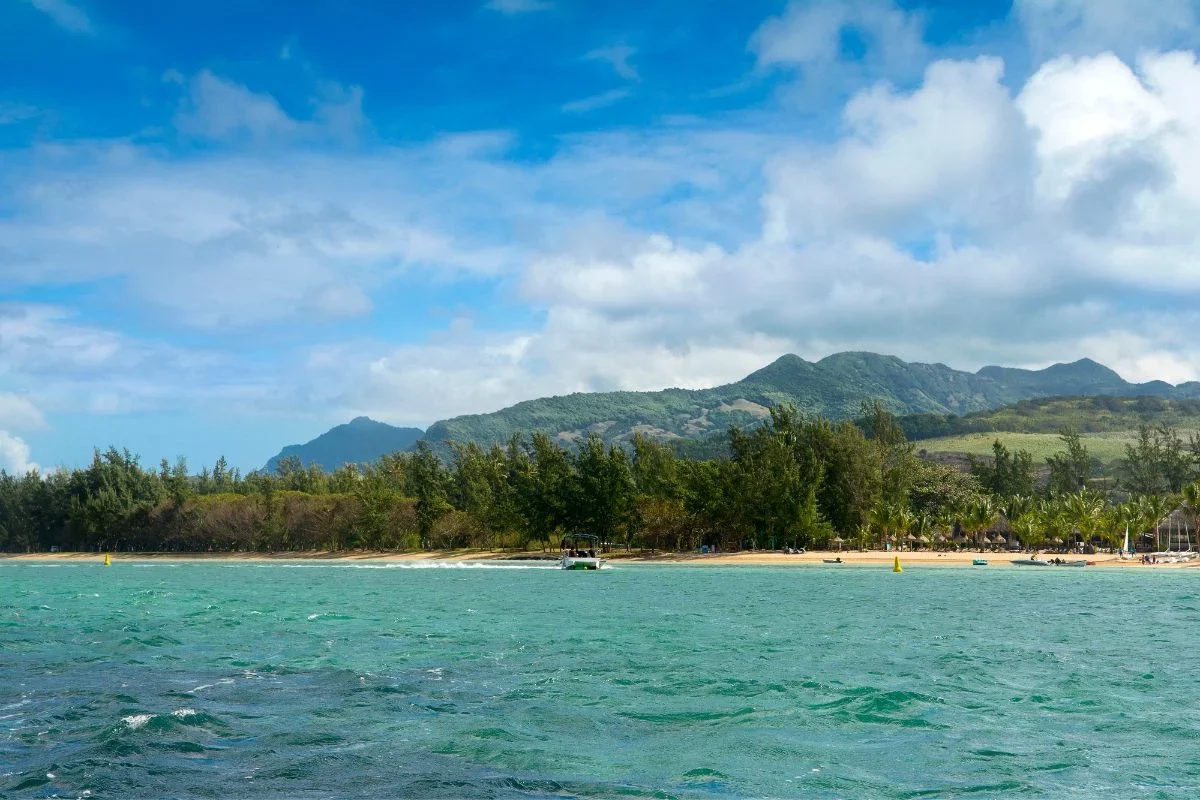 The calm lagoon and casuarinas at Bel Ombre beach on the south coast