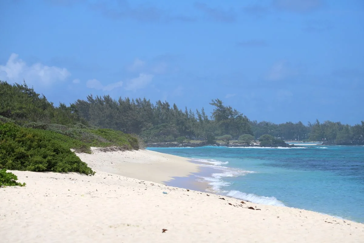 The long wild sand and casuarinas of La Cambuse beach in south-east Mauritius