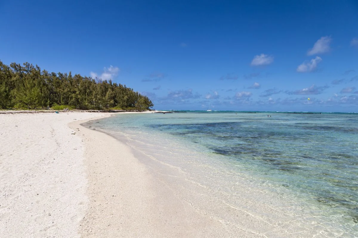 The quiet sand and casuarinas at Pomponette beach on the south coast of Mauritius