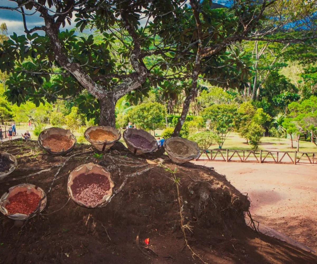 Baskets displaying the different soil colours at chamarel seven coloured earth