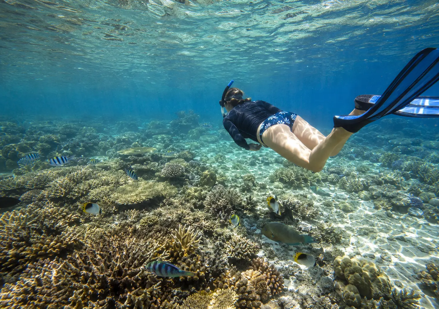 SNORKELING AT BLUE BAY MARINE PARK