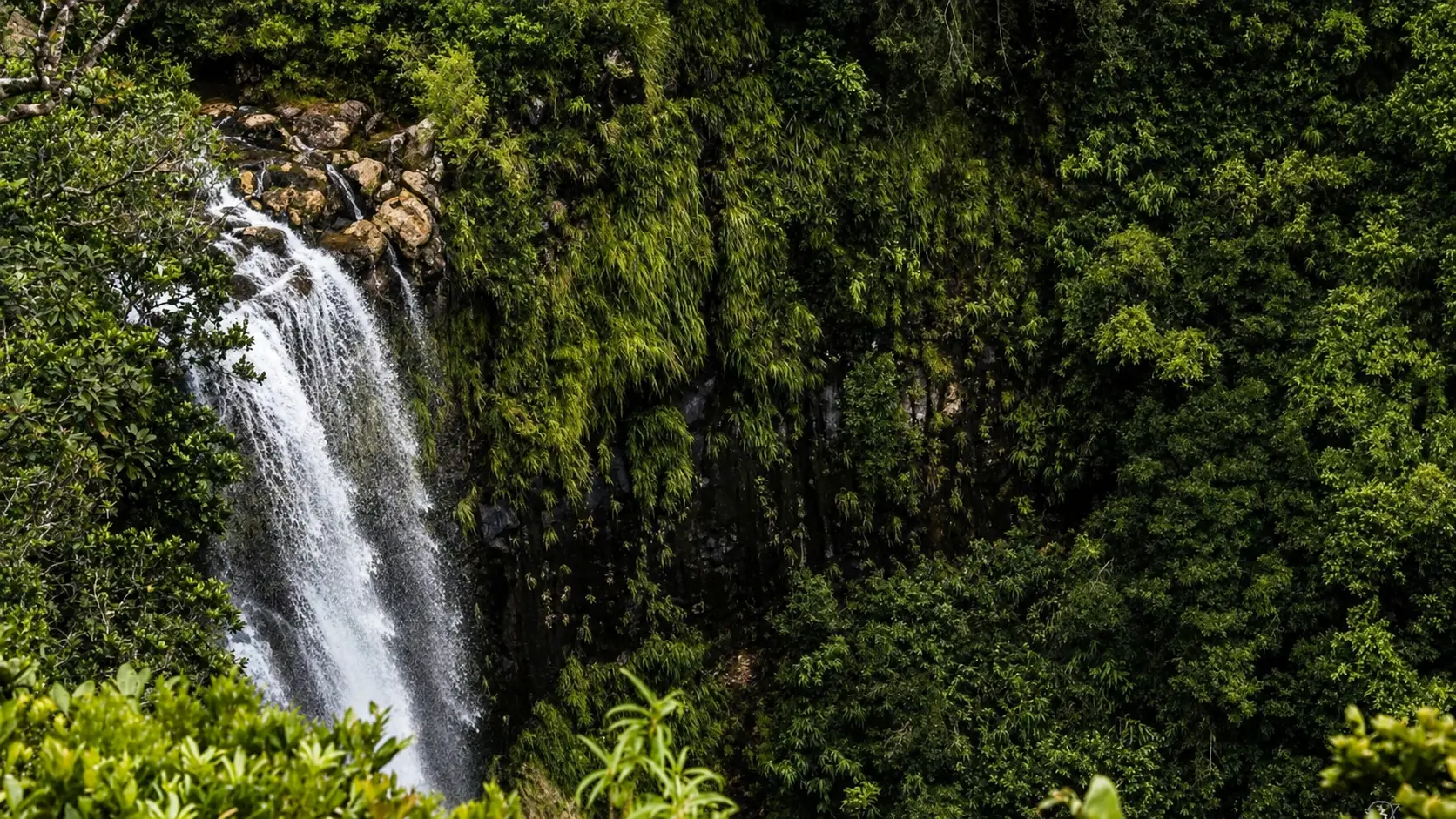 Alexandra Falls dropping through rainforest in Black River Gorges National Park