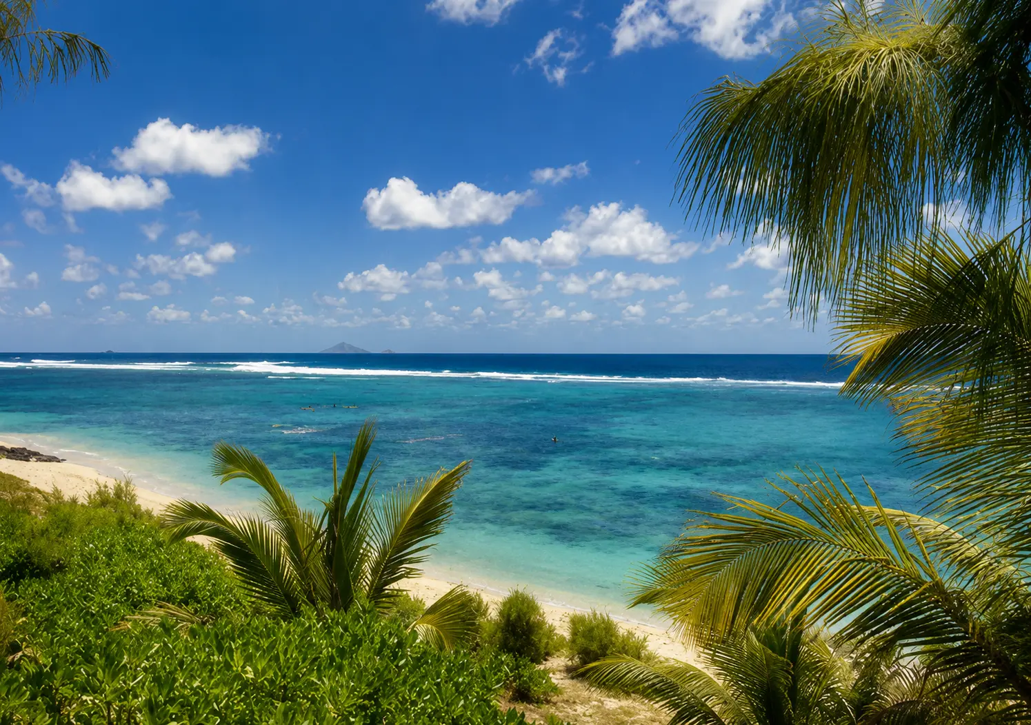 The wind-brushed lagoon and casuarinas at Poste Lafayette on the north-east coast of Mauritius